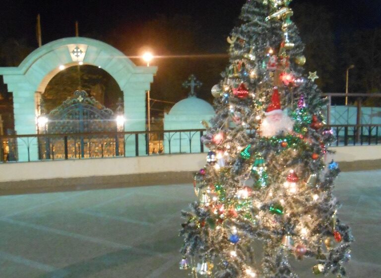  اسوان شكل تانى فى احتفالات الكريسماس