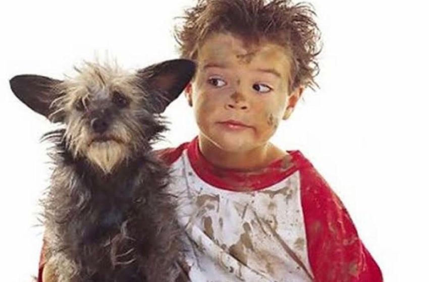  ليه الكلب صديق وفي؟