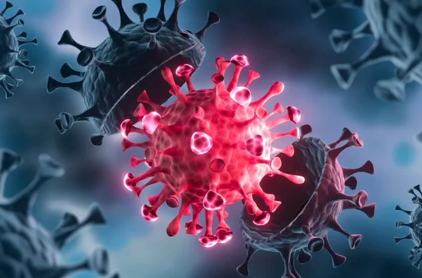  عاجل…وزارة الصحة تؤكد على اصابة شخصين بمحور EG5