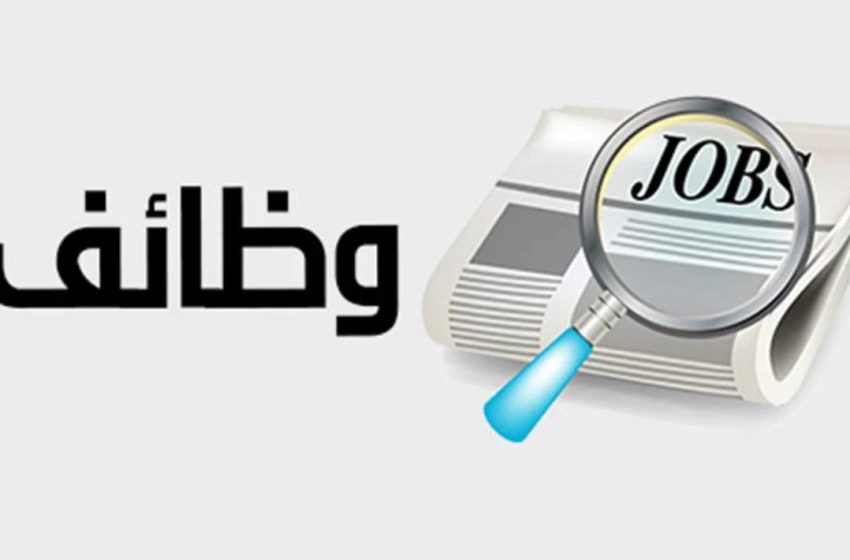  بالتعاون مع شركة مايكروسوفت «الشباب والرياضة تعلن عن وظيفة شاغرة »