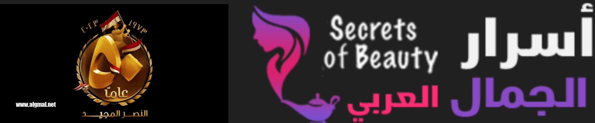 اسرار الجمال العربي