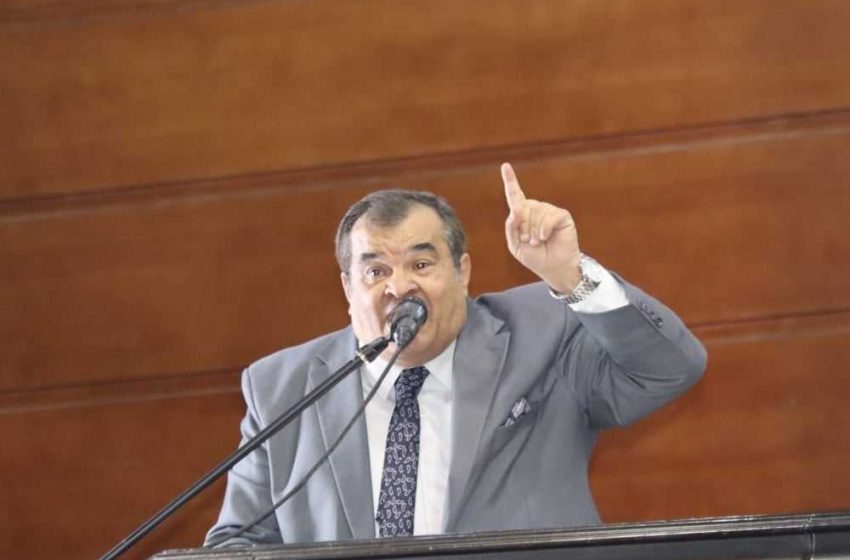    الكاتب الصحفى بالاهرام على الجمال  :   أطفالنا ملائكة ومهرجان السلام والإنسانية سينطلق فى الدول العربية واولادنا حماة الاوطان