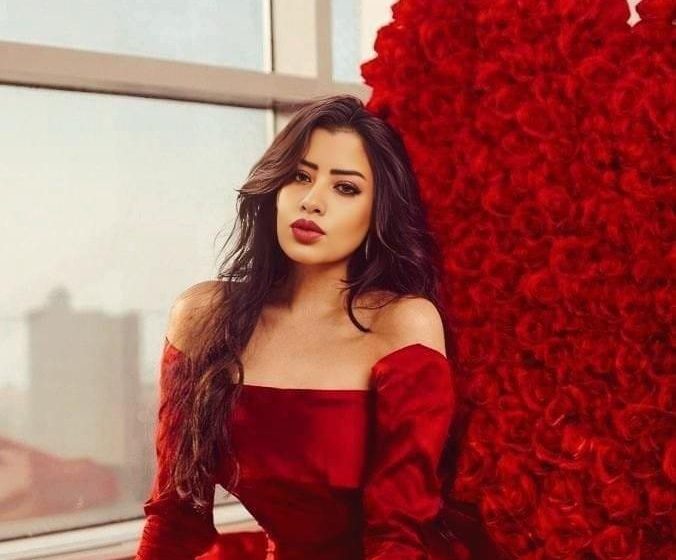  عيد ميلاد سعيد: الفنانة ليالي تحتفل بعيد ميلادها